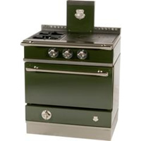 Lyonnais vert bouteille